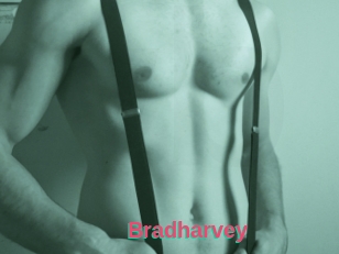Bradharvey