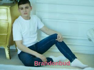 Brandonbud