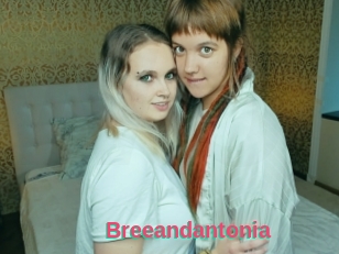 Breeandantonia