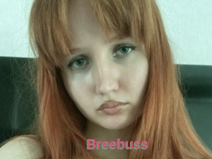 Breebuss
