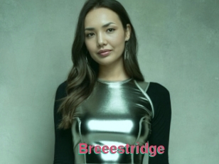 Breeestridge