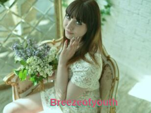 Breezeofyouth