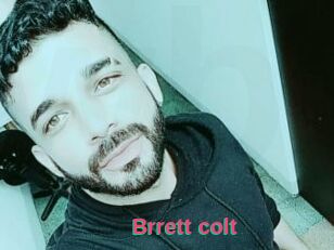Brrett_colt