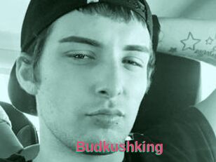 Budkushking