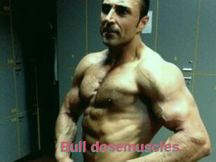 Bull_dosemuscles
