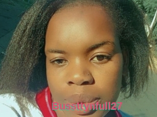 Bussttynfull27