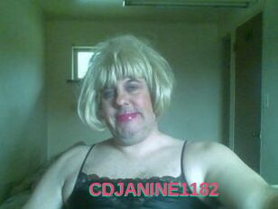 CDJANINE1182