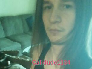 Calidude1134