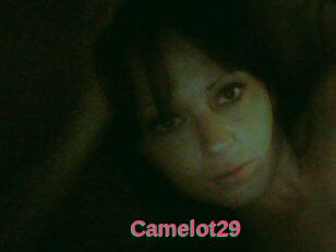 Camelot29