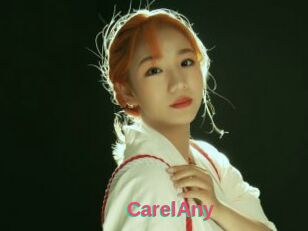 CarelAny