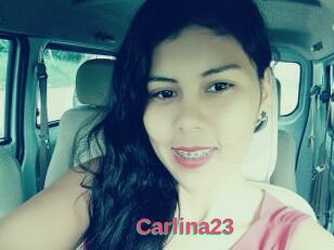Carlina23