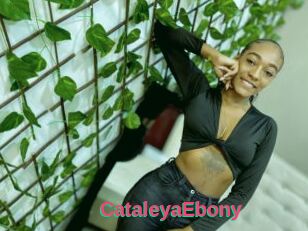 CataleyaEbony