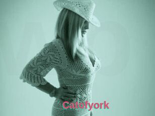 Catofyork