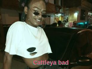 Cattleya_bad