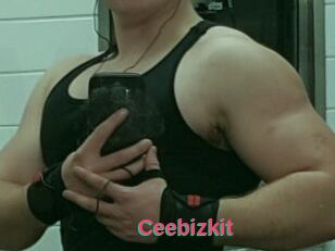 Ceebizkit