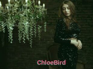 ChloeBird