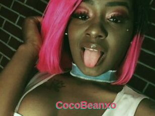 CocoBeanxo