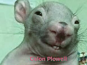 Colon_Plowell