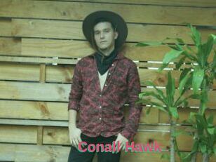 Conall_Hawk