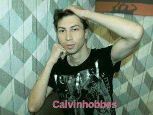 Calvinhobbes
