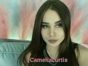 Cameliacurtis
