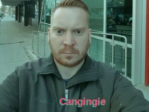 Cangingie
