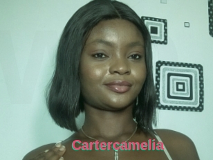 Cartercamelia