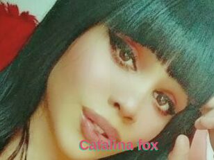 Catalina_fox