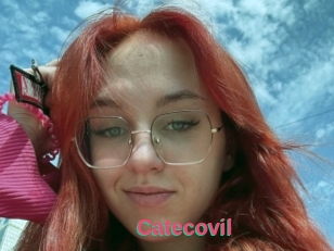 Catecovil