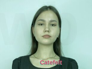 Catefelt