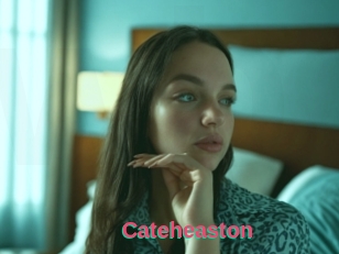 Cateheaston