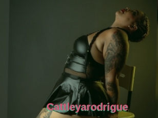 Cattleyarodrigue