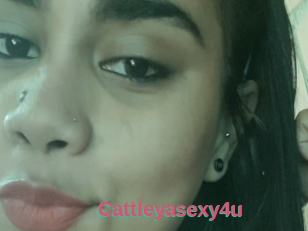 Cattleyasexy4u