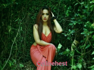 Celinehest