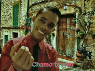 Chamo_brown