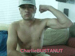 CharlieBUSTANUT
