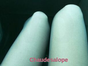 Chaudesalope