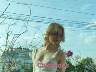 Chloecolts