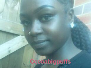 Cocoabigpuffs