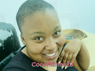 Cocoflames23