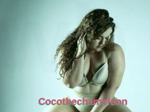 Cocothechameleon