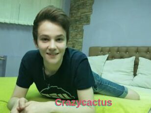 Crazycactus