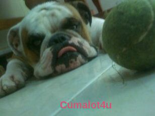 Cumalot4u