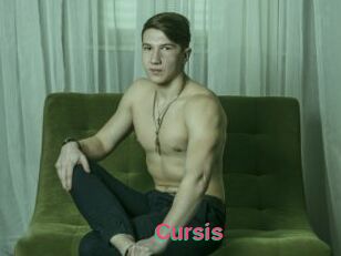 Cursis