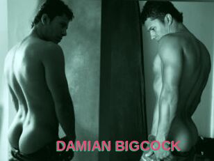 DAMIAN_BIGCOCK