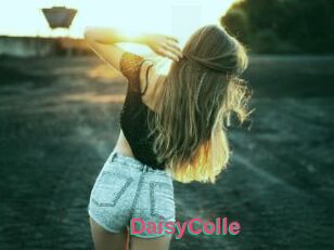 DaisyColle