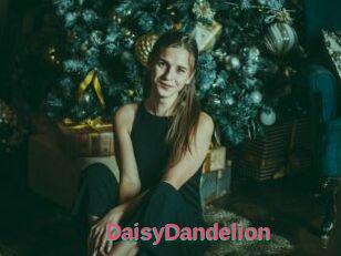 DaisyDandelion