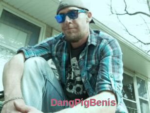 DangPigBenis