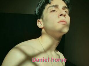 Daniel_horse