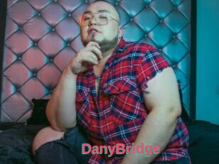 DanyBridge